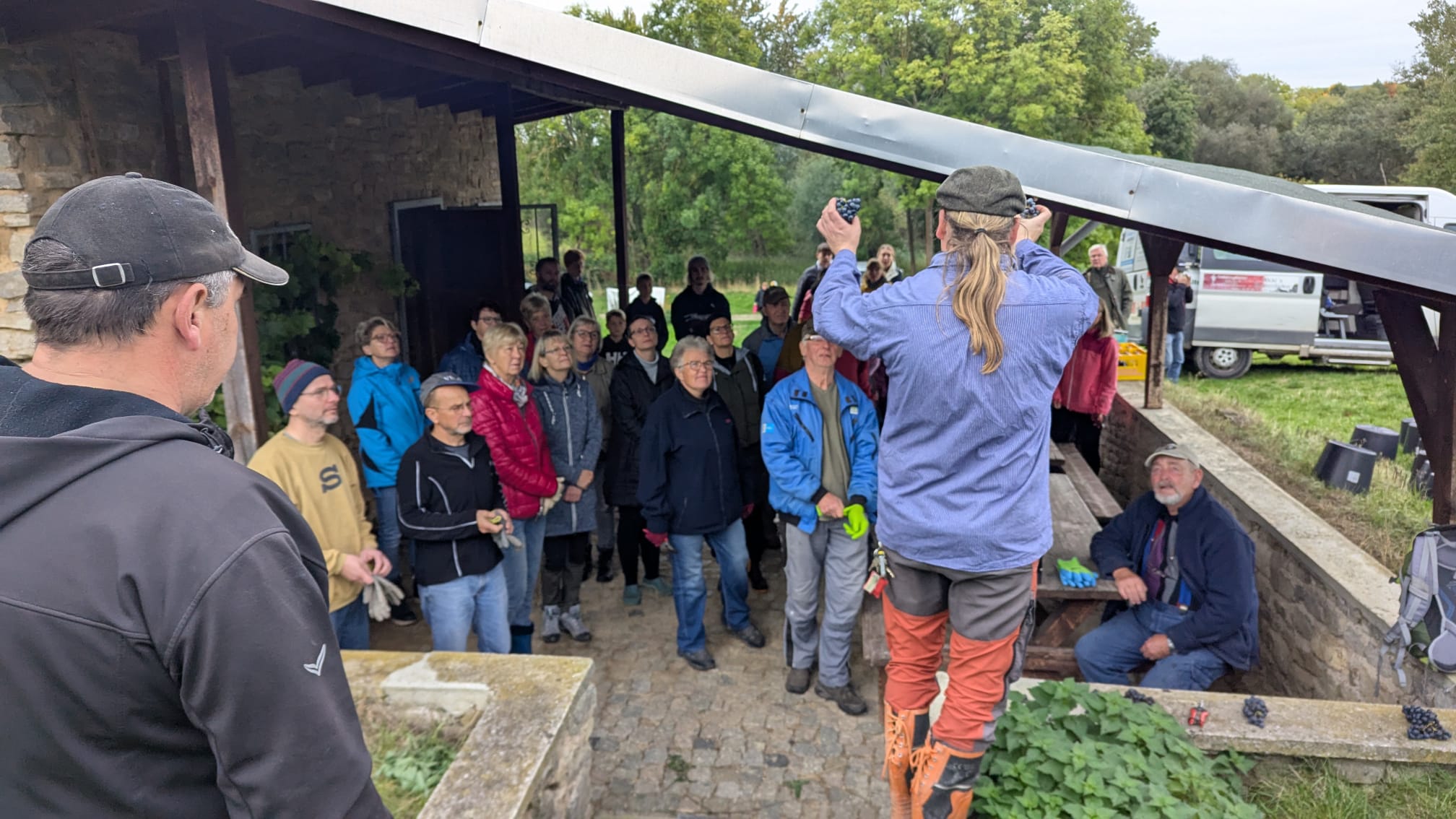 WhatsApp Bild 2025 10 17 um 20.43.46 62b80ba0