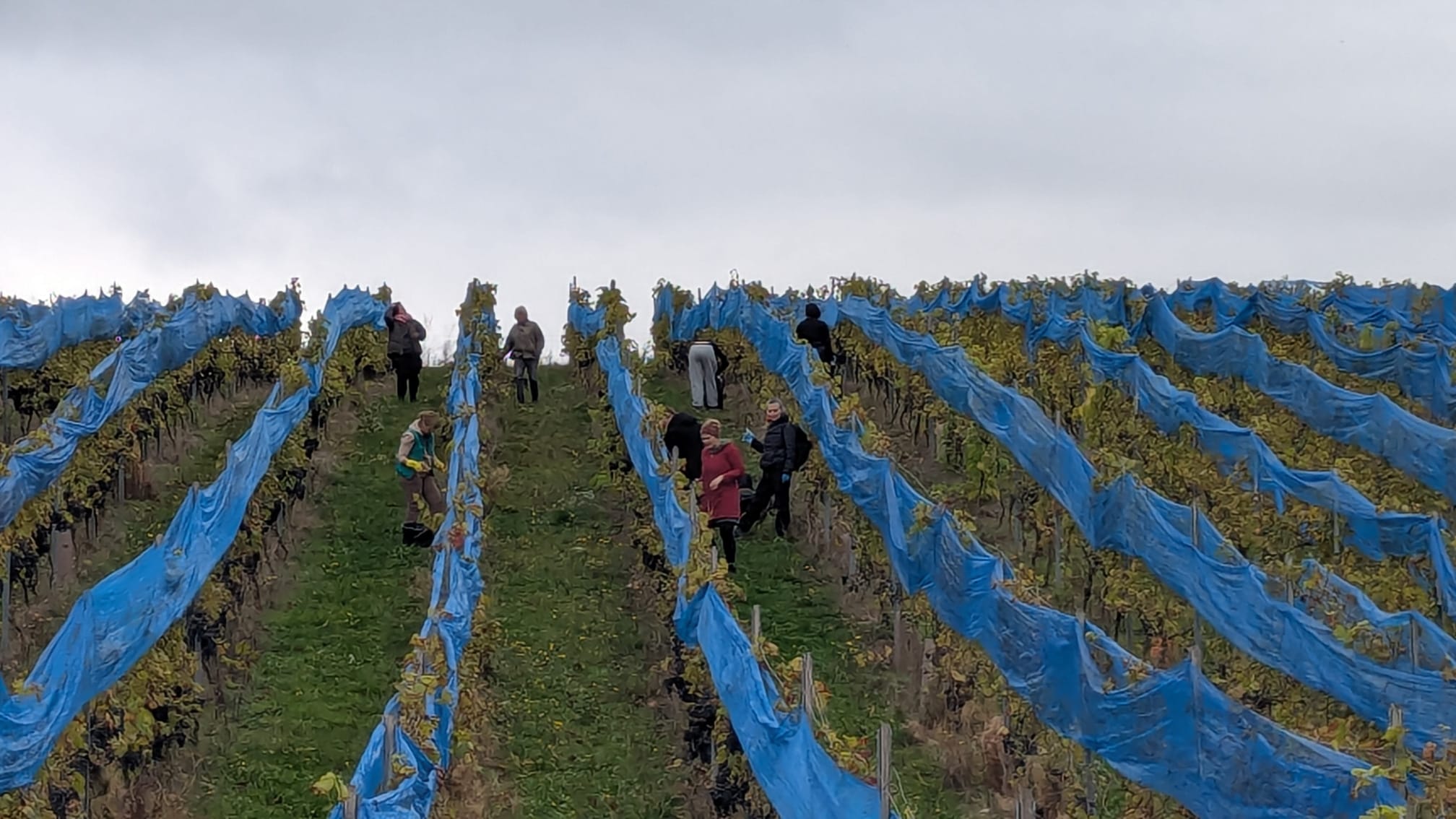 WhatsApp Bild 2025 10 17 um 20.43.46 ee386022